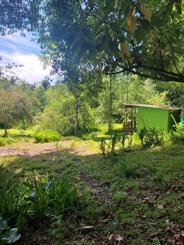 5 Bedroom Property for Sale in Hogsback Eastern Cape